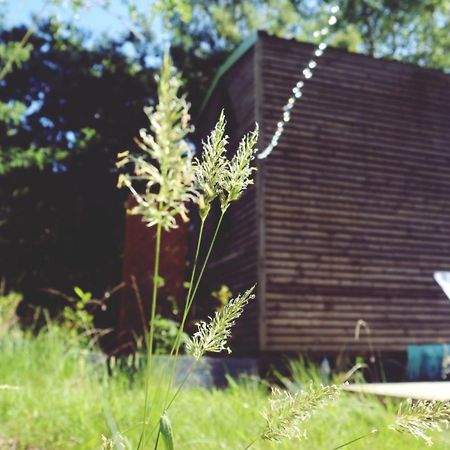 Naujac-sur-Mer Tiny House Nouvelle Annonce Boho Ocean酒店 外观 照片